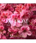 Shower Steamer | Bloom